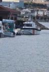 Silivri açıklarında ceset bulundu