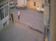 Aydın’da nakit ve para dolu çantayı alan şüpheli tutuklandı