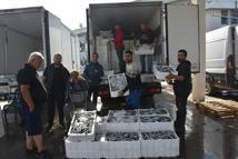 İzmir'de balık fiyatları düştü; palamut halde 60, tezgahta 100 TL
