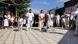 19 köpek sahiplendirilmek için podyuma çıktı
