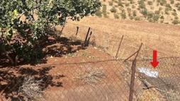 Çuvaldaki yazıdan yola çıkan jandarma, fıstık hırsızlarını yakaladı