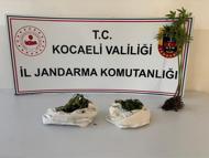 Kocaeli'de uyuşturucu operasyonu: 3 gözaltı