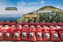 Karaburun'da üreticilere 300 bin nergis soğanı desteği