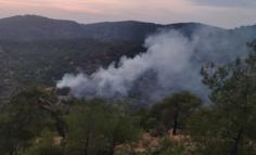 Gaziantep’te orman yangını; 4 dönüm alan zarar gördü