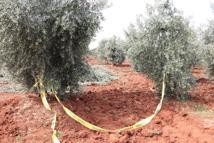 Traktörden düşen çiftçi öldü