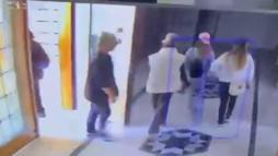 Küçükçekmece'de 12'nci kattaki daireye 'Mucize' sayesinde giremediler; şüphelilerin kediden kaçtığı anlar kamerada