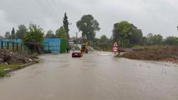 Sakarya'da dere taştı; su baskınları yaşandı (3)