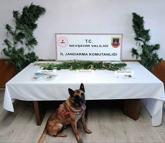 Nevşehir'de uyuşturucu operasyonu