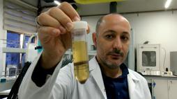 Hayvan yemi olarak kullanılan fındık posası, tüketilebilir protein kaynağına dönüşecek