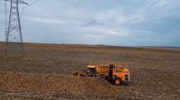 Tekirdağ'da şeker pancarında dekar başına 10 ton verim elde edildi