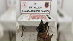 Narkotik köpeği ‘İnşa’ tepki verdi, 2 bin 650 uyuşturucu hap ele geçirildi