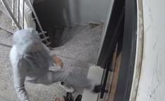 Matkapla komşusunun kapısına zarar veren kadın, yeni kapıyı da tekmeledi