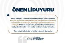 Hatay’da Üzümdalı Hayvan Pazarı, şap hastalığı nedeniyle geçici olarak kapatıldı