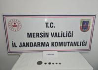 Mersin’de tarihi eser kaçakçılığı operasyonu