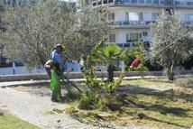 Kuşadası'nda park ve yeşil alanlarda bakım çalışması
