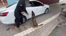 Siirt’te 5 kilo 600 gram skunk ele geçirildi; 4 gözaltı