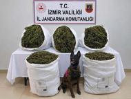 İzmir'de 54 kilo 800 gram kubar esrar ele geçirildi: 3 tutuklama