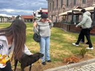 Ayvalık MYO öğrencilerinden örnek davranış