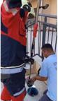 Havalandırma borusuna düşen kedi kurtarıldı