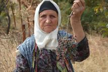 Annesiyle başladığı çitlembik mesaisini 78 yaşında sürdürüyor