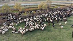 Van ve Bitlis’te göçerlerin dönüş yolculuğu başladı