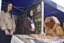 Hizan’da '1'inci karakovan bal hasadı festivali' başladı