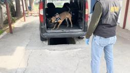 Aracın yakıt deposundaki uyuşturucuyu 'Hector' buldu