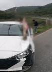 Arnavutköy’de otomobilin çarptığı at öldü: 3 kişi yaralandı
