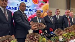 Aydın'da sezonun ilk kestanesi kilosu 600 TL'den alındı