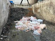 Domuz eti tespit edilen 2,6 ton sucuk imha edildi