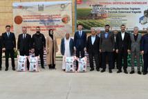 Mardin’de dezavantajlı 667 çiftçiye tohum desteği