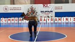 Jandarma köpeği 'Nefes'in gösterisi ilgiyle izlendi
