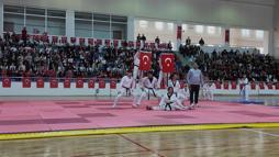 Bingöl'de Cumhuriyet Bayramı coşkusu