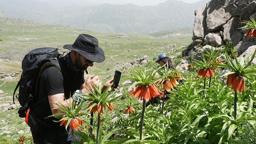 20 günlük ömrü olan çiçeği görmek için Mardin'den gelip, dağda 7 kilometre yürüdüler