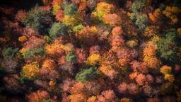 Bolu Mengen'de sonbahar güzelliği