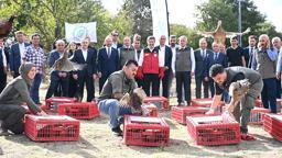 Kene ve kokarcaya karşı 36 bin keklik, 9 bin sülün doğaya salındı