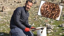 Küresel ısınmaya karşı 2 yılda 20 binden fazla tohum ekip, fidan dikti