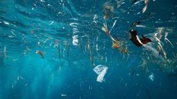 'Anne sütünde dahi tespit edilen mikroplastikler çevreyi ve insan sağlığını tehdit ediyor'