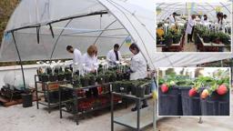 Öğrencileri olumsuz hava şartlarından korumak için fakültenin terasına sera kurdu