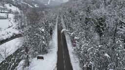 'Ağaç tünel yol'da, kar yağışı sonrası ortaya çıkan manzara görüntülendi