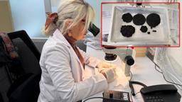 Hz. İsa tasvirli 1300 yıllık ekmeklerin konservasyonu, 2 yılda tamamlandı