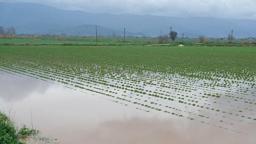 'Yağışları muhafaza edemezsek, kuraklık yaşamaya devam ederiz'