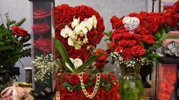 İzmir'de Sevgiler Günü'ne özel 2,5 milyon gül