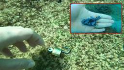 Denizden 'büyü malzemesi' çıkarıyor