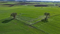 Edirne'de yağışların ardından doğru tarım uygulamalarıyla yüksek rekolte bekleniyor