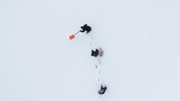 10 yıldır 'Allah'ın misafiri' dedikleri kuşları yemliyorlar