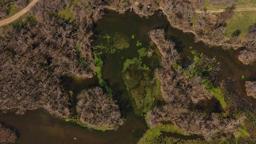 Türkiye’nin 3’üncü büyük longozu yeniden su ile doldu