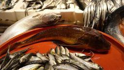 Bayram öncesi balık tezgahlarında çeşit bolluğu