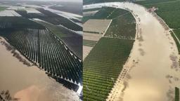 Adana’da tarım arazileri su altında kaldı; ‘Üreticiler yeniden ekim yapacak’