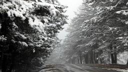 Abant, beyaz örtüyle kaplandı